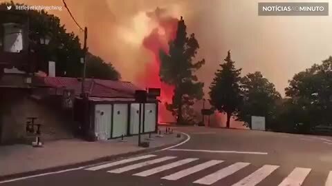 Ilha Grã Canaria devastada por incêndios florestais
