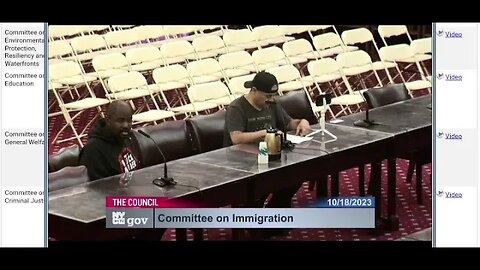 My Testimony from today's Immigration Committee Chaired by @CMShahanaHanif @ShahanaFromBK. 10/18