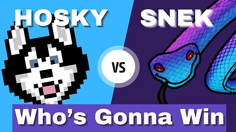 👀💙 HOSKY VS SNEK 💪🟢🐍 WHO'S GONNA WIN???🙌 The Battle is ON!!! Cardano Memecoins are heating up! 🔥🥵