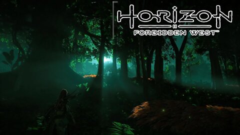 HUNTING THE KNOWLADGE OF THE PAST | Horizon forbidden West