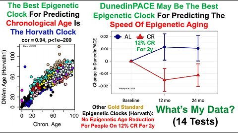 Resisting An Increased Epigenetic Speed Of Aging (14-Test Results)