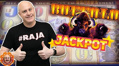 🌟 Buffalo Gold Bonus Jackpot 🌟 $30 Max Bet Buffalo Pays Big!