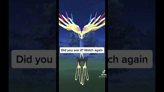 Xerneas secret you didn’t know about 😳