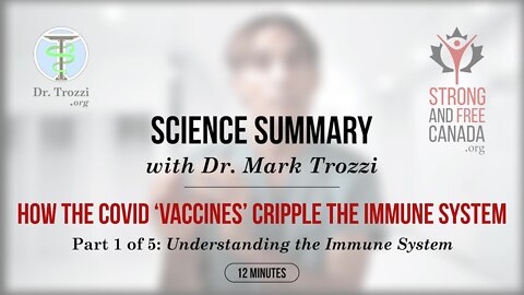 How the Covid Vaccines Cripple the Immune System | Part 1 of 5: Understanding the Immune System