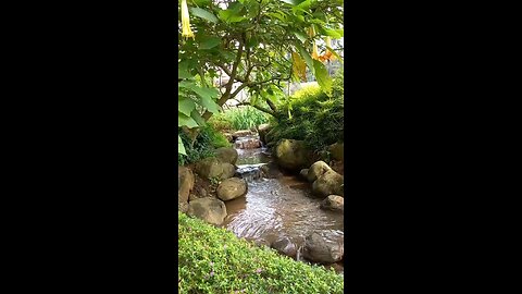 Green Scenery with Cool Waterfall with Meditation Music