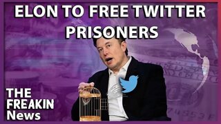 THE BIRD IS FREE: Elon Musk Finalizes Purchase Of Twitter And Fires Several Executives