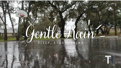 Relaxing Soft Rain Sound for Sleeping - 2 HOUR Pink Noise Gentle Rain I Insomnia l Sleep l Study