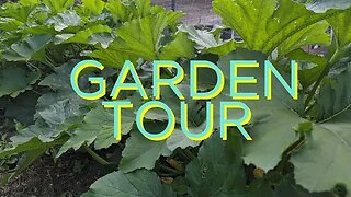 2023 Garden Tour | Vegetable Garden - Spend Less on Food