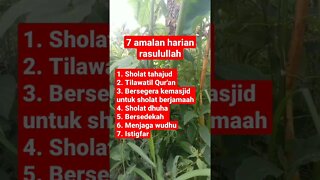 inilah 7 Amalan harian Rasulullah #shorts #Rasulullah #dakwah