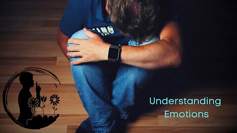Understanding Feelings and Emotions | David Drapela | A Quiet Place | Austin Texas