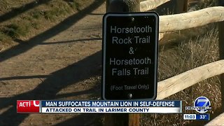 Horsetooth Mountain trail runner suffocates, kills mountain lion in self defense