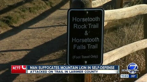Horsetooth Mountain trail runner suffocates, kills mountain lion in self defense