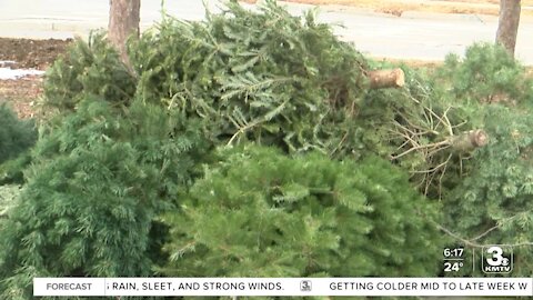 City requests Christmas trees be dropped off at designated location