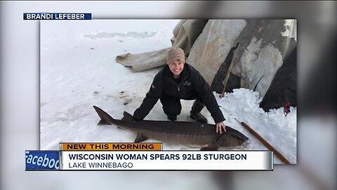 'I screamed': Wisconsin woman described spearing 92-pound sturgeon