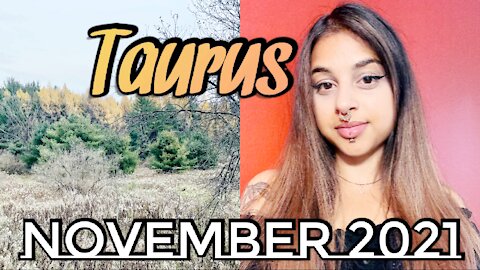 Taurus November 26-28 2021| Incoming Inspiration & Insight- WEEKEND Tarot