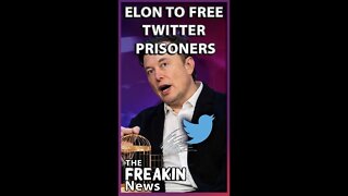 THE BIRD IS FREE: Elon Musk Finalizes Purchase Of Twitter And Fires Several Executives #shorts