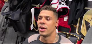 Ryan Reaves talks about playoffs