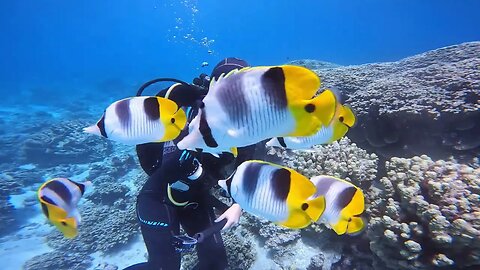 Suyeon's 2nd Dive on Tinian--we never broke 35ft