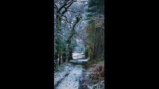 Winter Travel Vlog #travel #viral #shorts