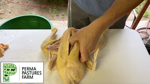 Step By Step Chicken Butchering