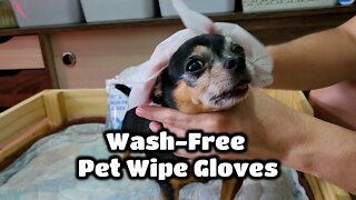 Wash-Free Pet Wipe Gloves