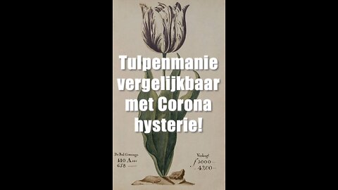 Tulpenmanie vergelijkbaar met Corona hysterie!