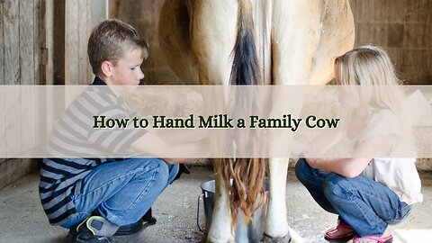 How to Hand Milk a Family Cow