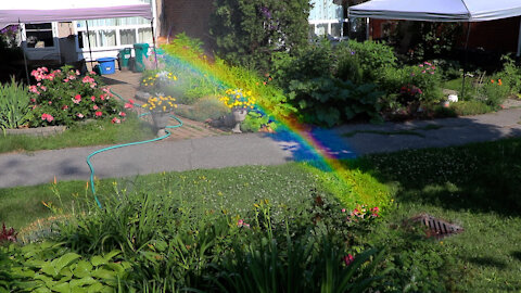 Rainbow at the end of a … sprinkler?