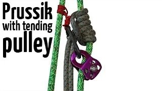 Prusik with tending pulley | Arborist climbing techniques