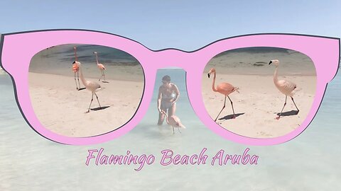 Flamingo Beach at the Renaissance Island Aruba
