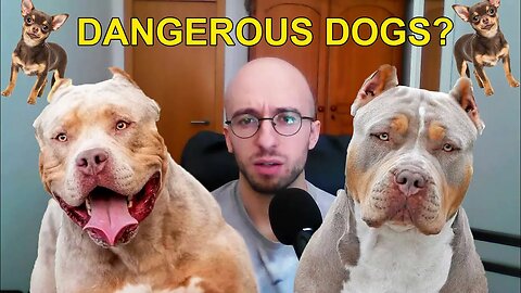 The Problem with Dangerous Dogs