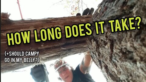 How Long Does it Take to Saw Cedar? - Ann's Tiny Life