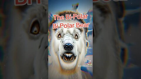The Bi-Polar Bi Polar Bear 🐻‍❄️ #polarbear #bipolar #bi