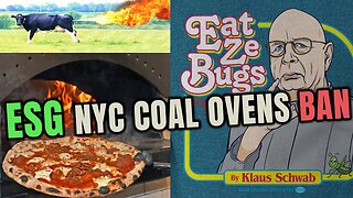 🌐ESG is Back attacking New York Pizzerias to GET RID of Coal Burning Pizza Stoves🍕