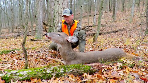 2020 Deer Season- Big Doe Down on Michigan Public Land