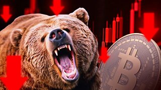 How Can The Crypto Bear Market Get You Rich in 2023?