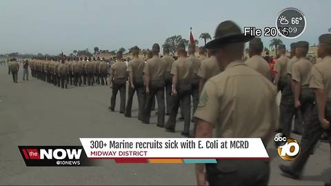 Over 300 Marine recruits sick with E.Coli