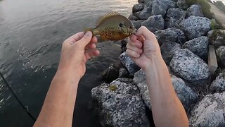 Beautiful Day At The Jetty At Lake Erie