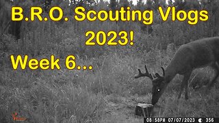 B.R.O. Scouting vlogs 2023! Week 6... It's Still HOT!