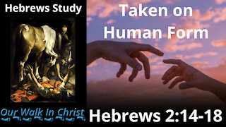 Taken On Human Form | Hebrews 4