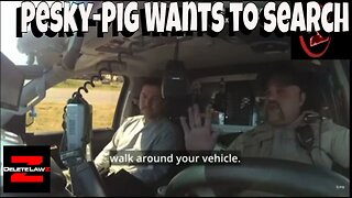 Pesky Pig wants to search your Car