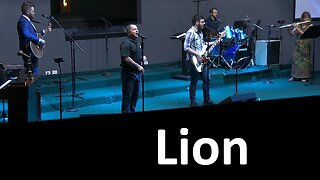 Lion ~ Live Cover