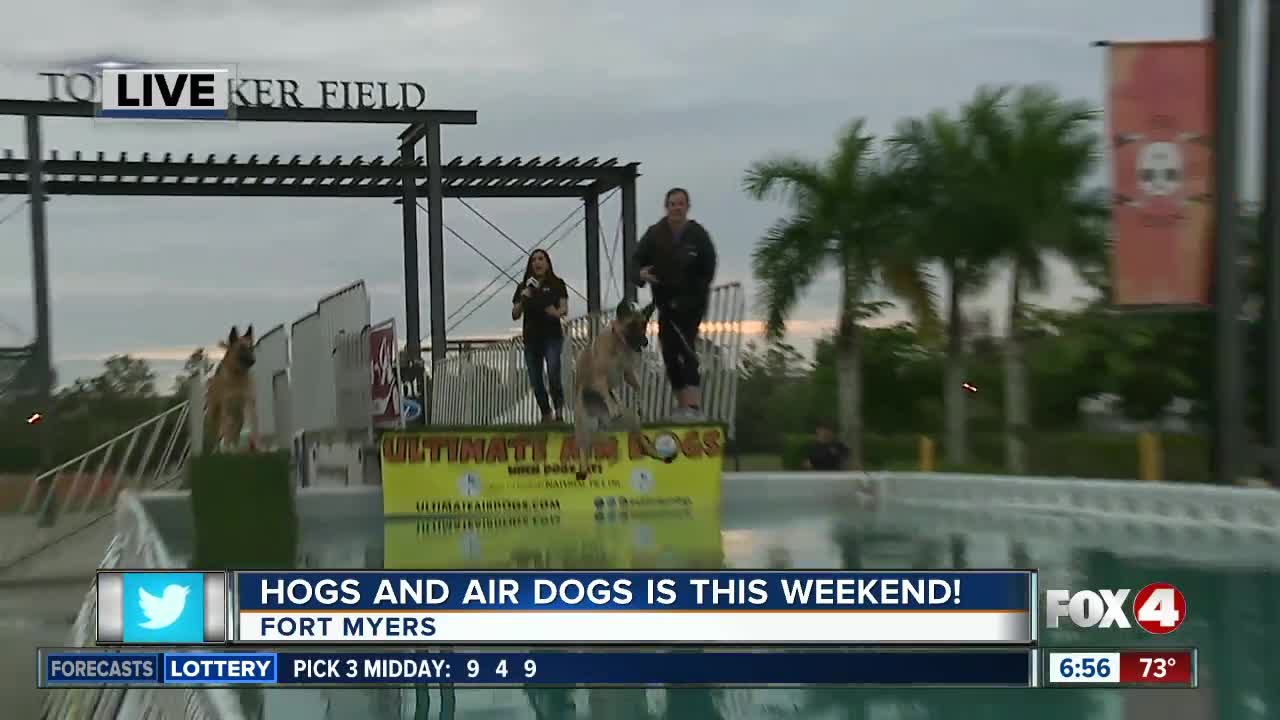 Preview: 'Hogs and Air Dogs' benefits Gulf Coast Humane Society