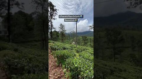 Wayanad Kerala India 😍🇮🇳 #back2life