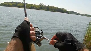 Fishing Busse lake. Will we catch anything this time?