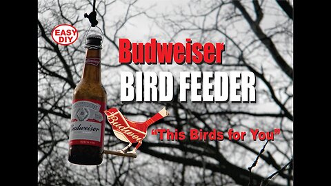Easy DIY Budweiser Bird Feeder