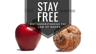 Stay Free #16 | Understanding The Law of Moses (The Moral Part)