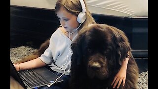 This little girl loves staying home with her doggy best friend