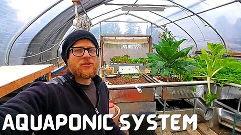 Green house aquaponic system update