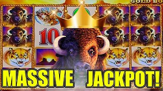 Go Big or Go Home! 🪙 Max Betting Buffalo Gold for Massive Jackpots!